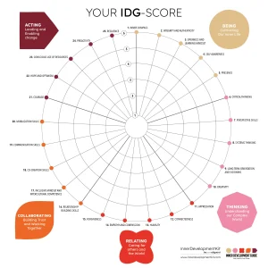 Inner Development Goals Kit - Product Image